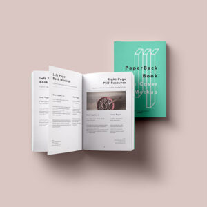 Paperback Book
